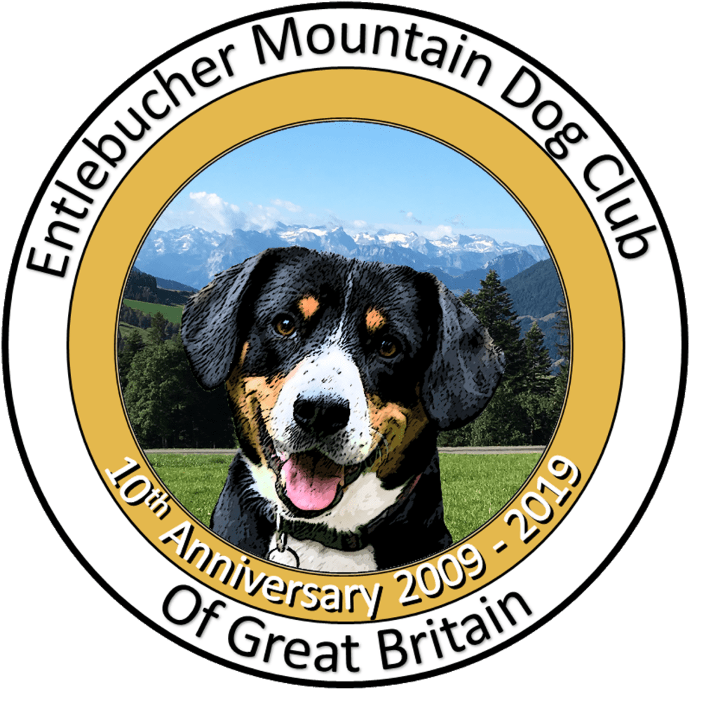 our-club-is-10-years-old-today-entlebucher-mountain-dog-club-of-great