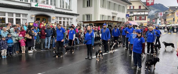 Alpabfahrt Schüpfheim 2025